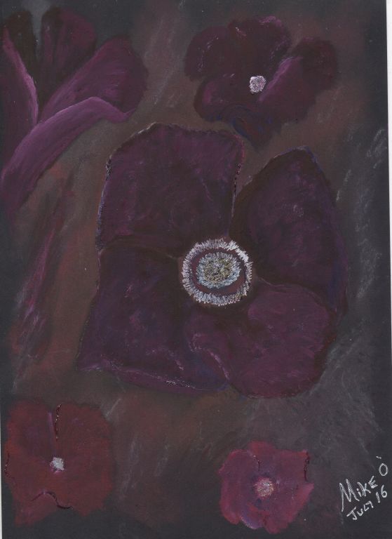 Dark Poppy