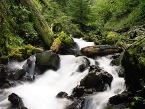 Mountain Stream
