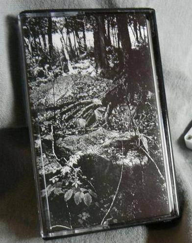 Falls Of Rauros - Revisitation