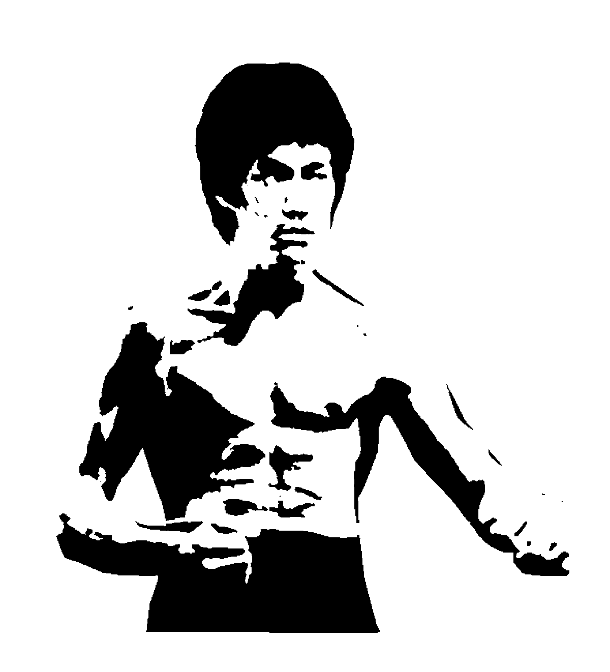 bruce lee torso