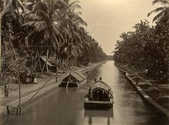 Colonial 