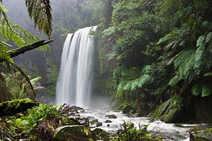 hopetown falls nature