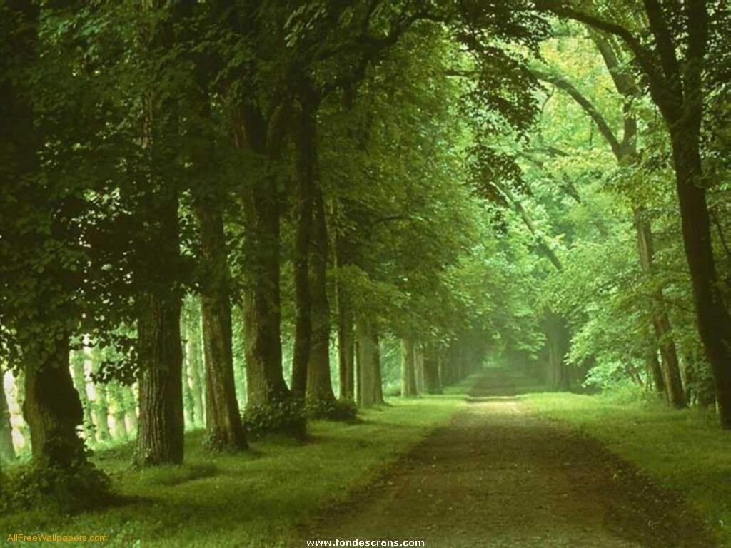 nature
