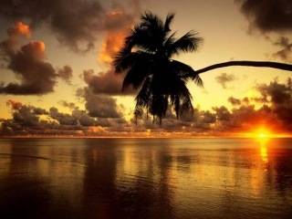 beautifulscene