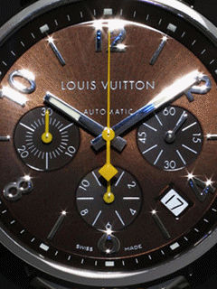 Louis Vuitton speedo
