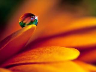 A-Drop-Of-Water