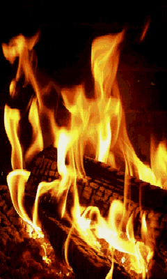 Fire