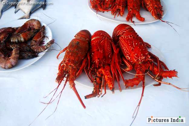 Delicious sea foods at varkala