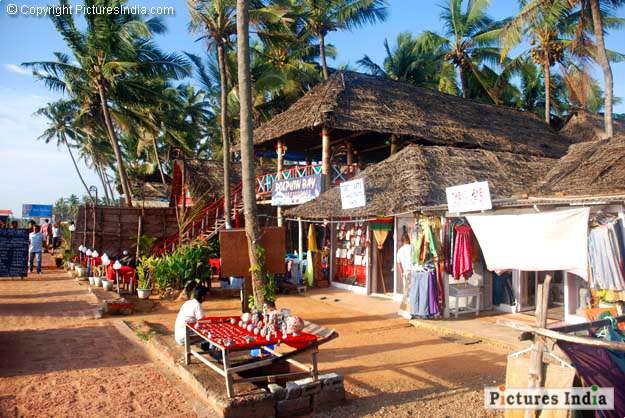 Food and drink Kerala varkala delicious sea foods1
