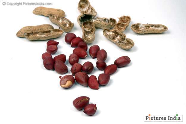 Food and drink Snacks groundnuts