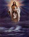 Shepherd