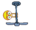 Spin