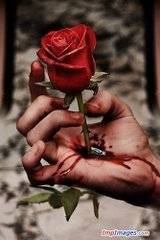 Love Hurt