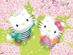 kitty an 