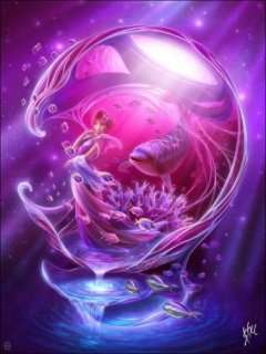 dolphin