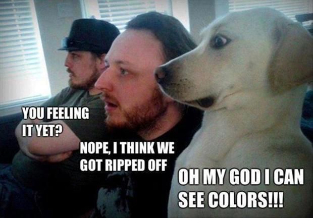 colour