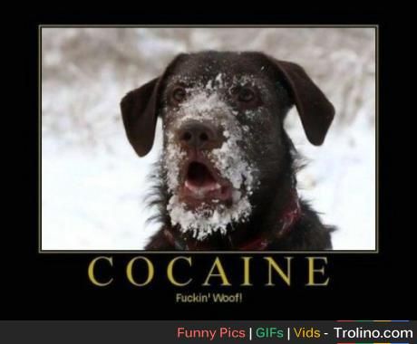 coke