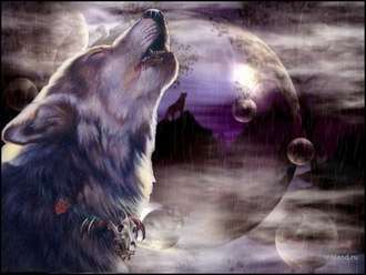 Wolf Song