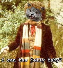 Dr Who Kitty