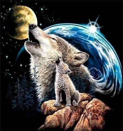 Wolves In