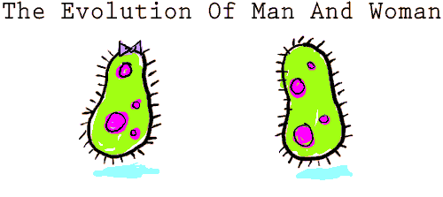 Evolution