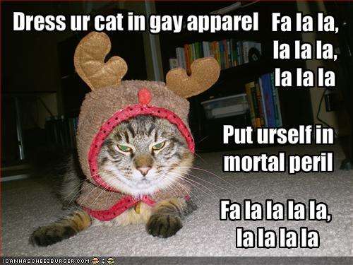 Cat In Gay Apparel