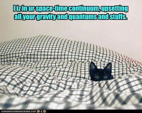 Cat Upset