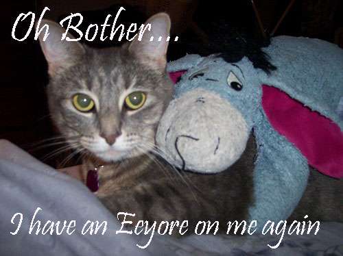 Eore Cat