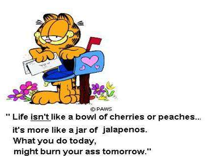 life is like