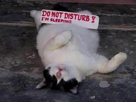 do not disturb