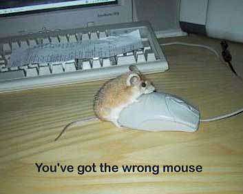 wrong mouse silly