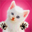 Cute white kity lick