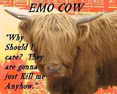 Emo-cow