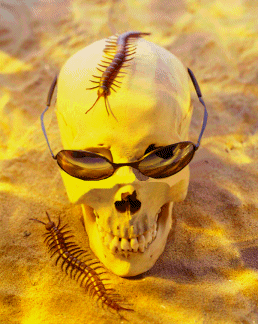 Happy halloween