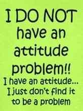 Attitude 