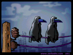 Old crows-funi