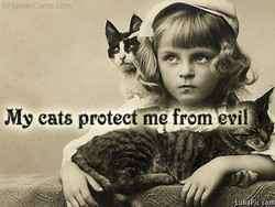 My cats protect me