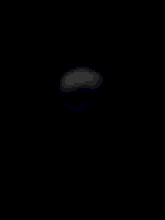 Smoke skull