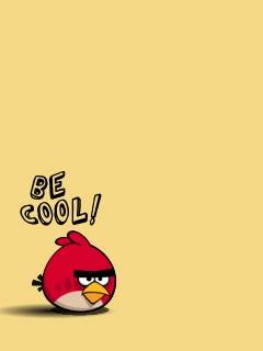 Cool