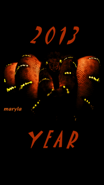New year 2013
