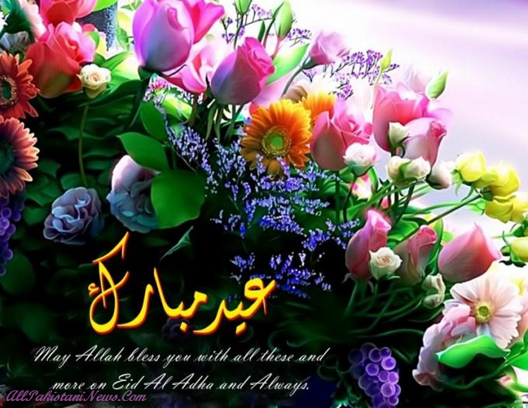 EiD image