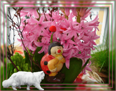 Fl0wers cat