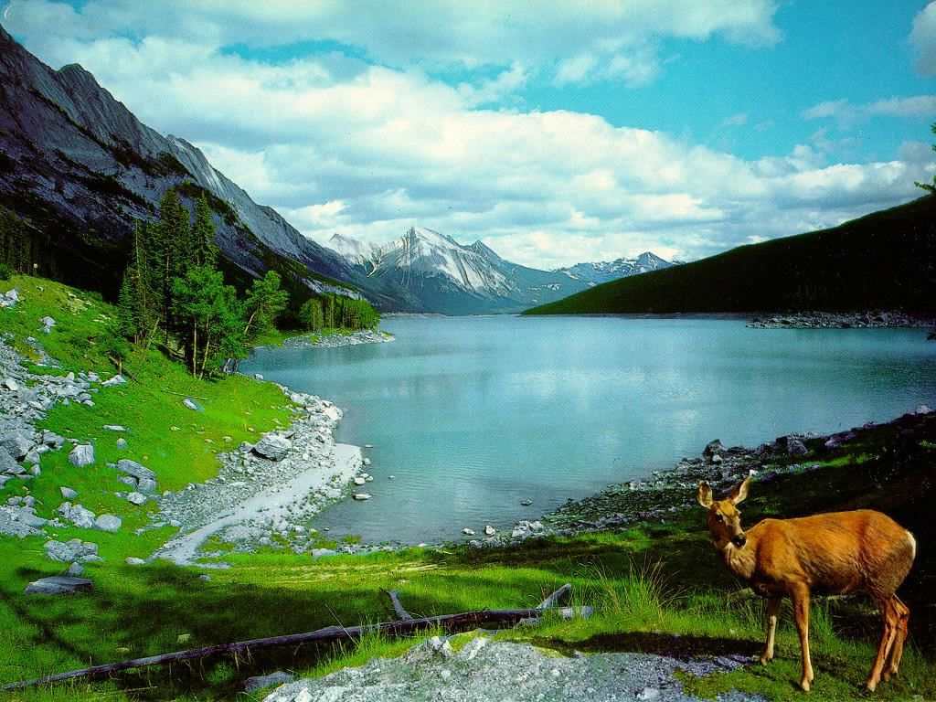 NatUre w