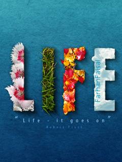LiFE Wall