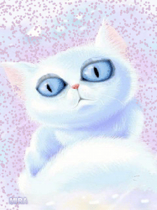 Cute cat