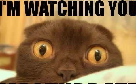 Watching 