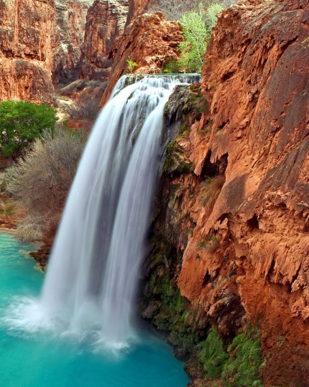nature
