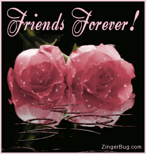 Friendship w