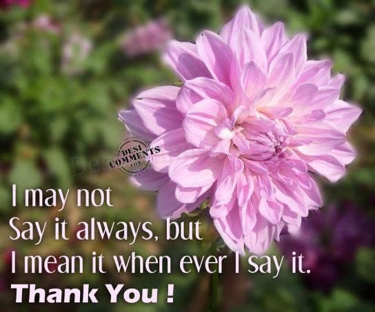 Thank y0u