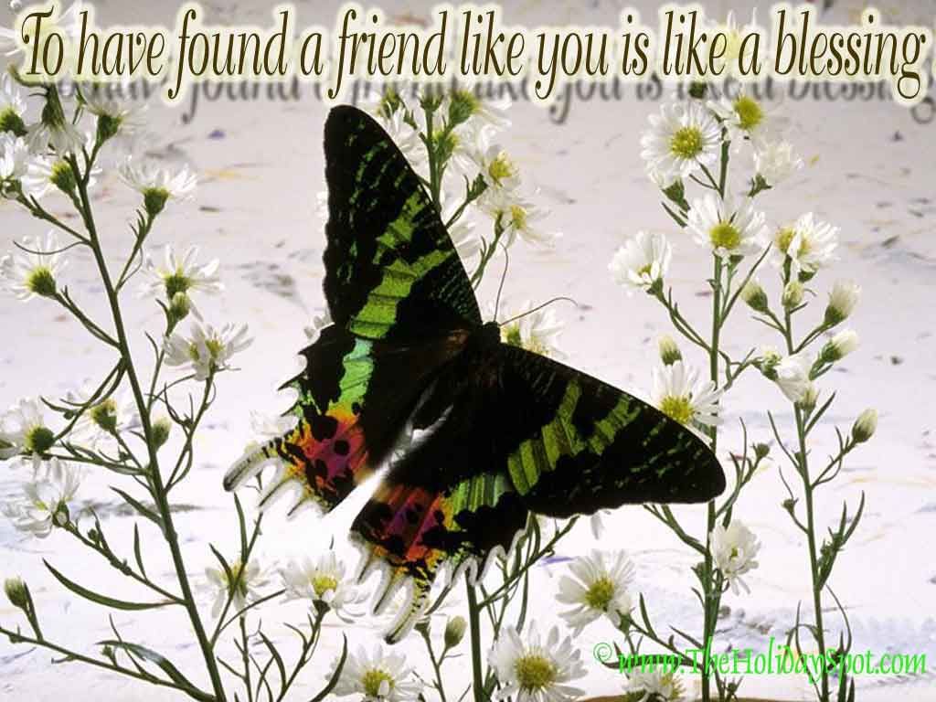 Friendshi